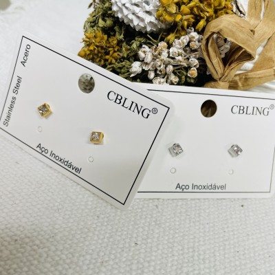 Stainless steel earrings