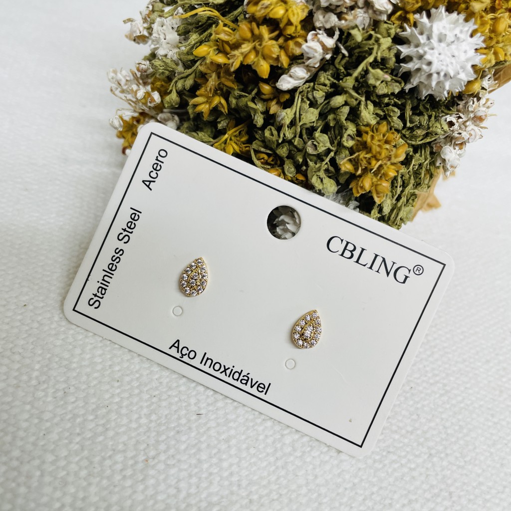 Stainless steel earrings