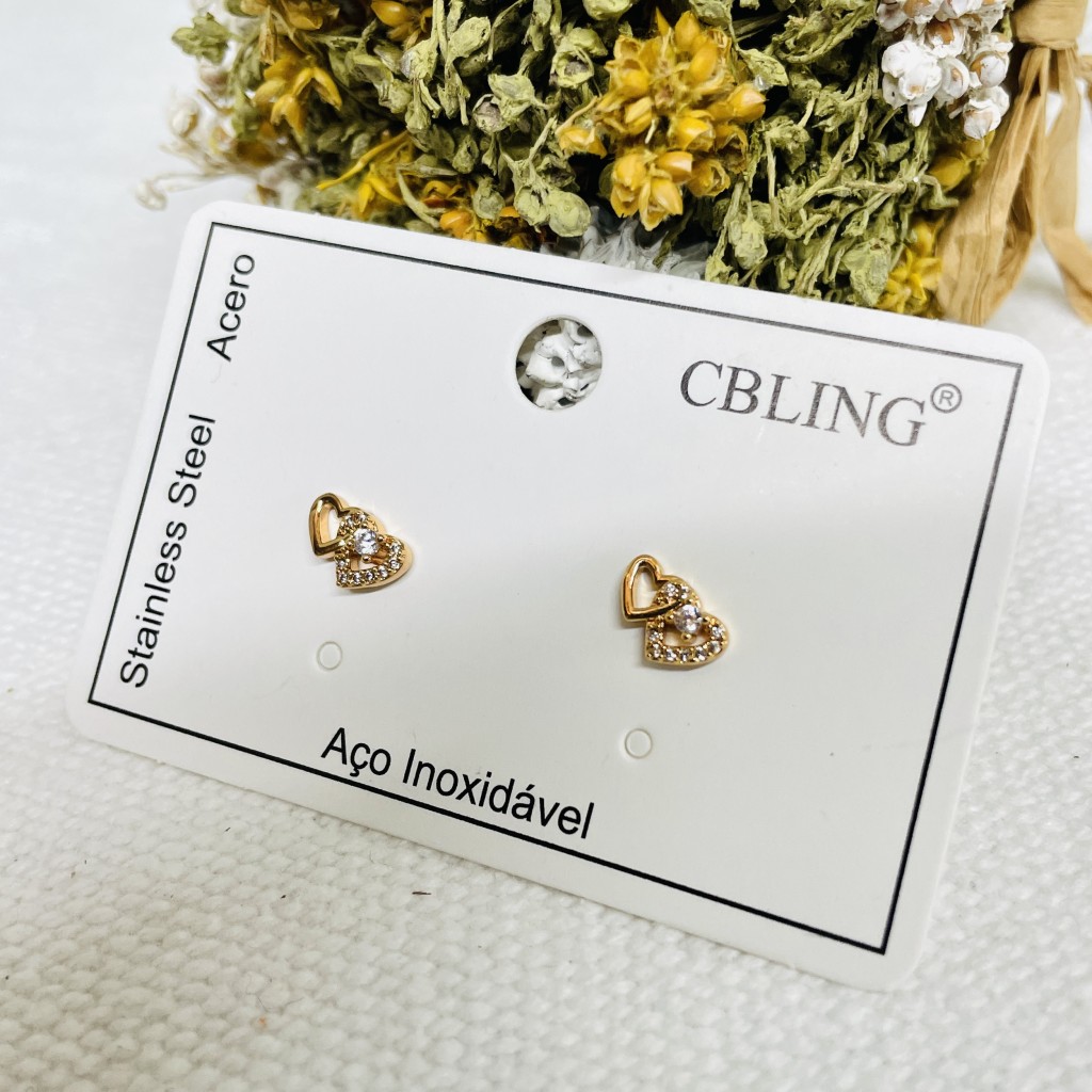 Stainless steel earrings