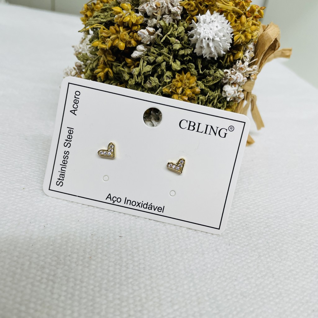 Stainless steel earrings