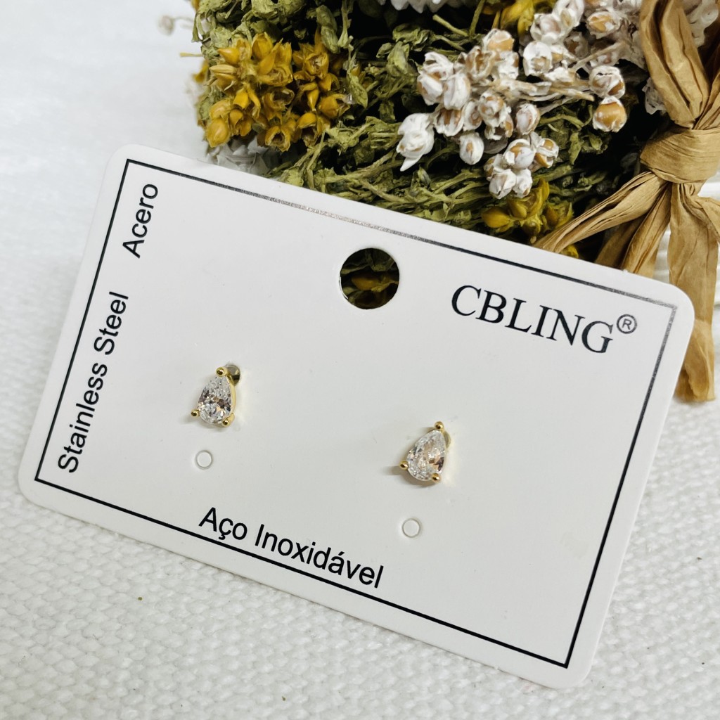 Stainless steel earrings