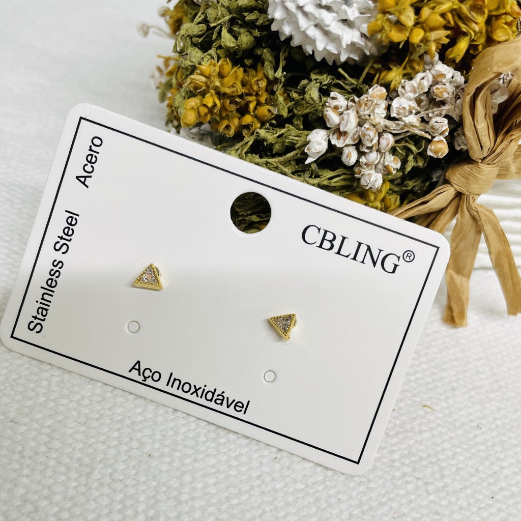 Stainless steel earrings