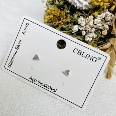 Stainless steel earrings