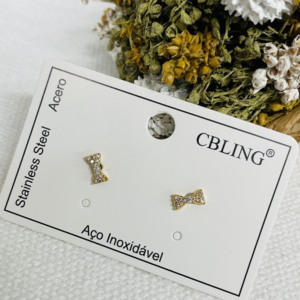 Stainless steel earrings