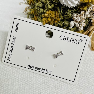 Stainless steel earrings