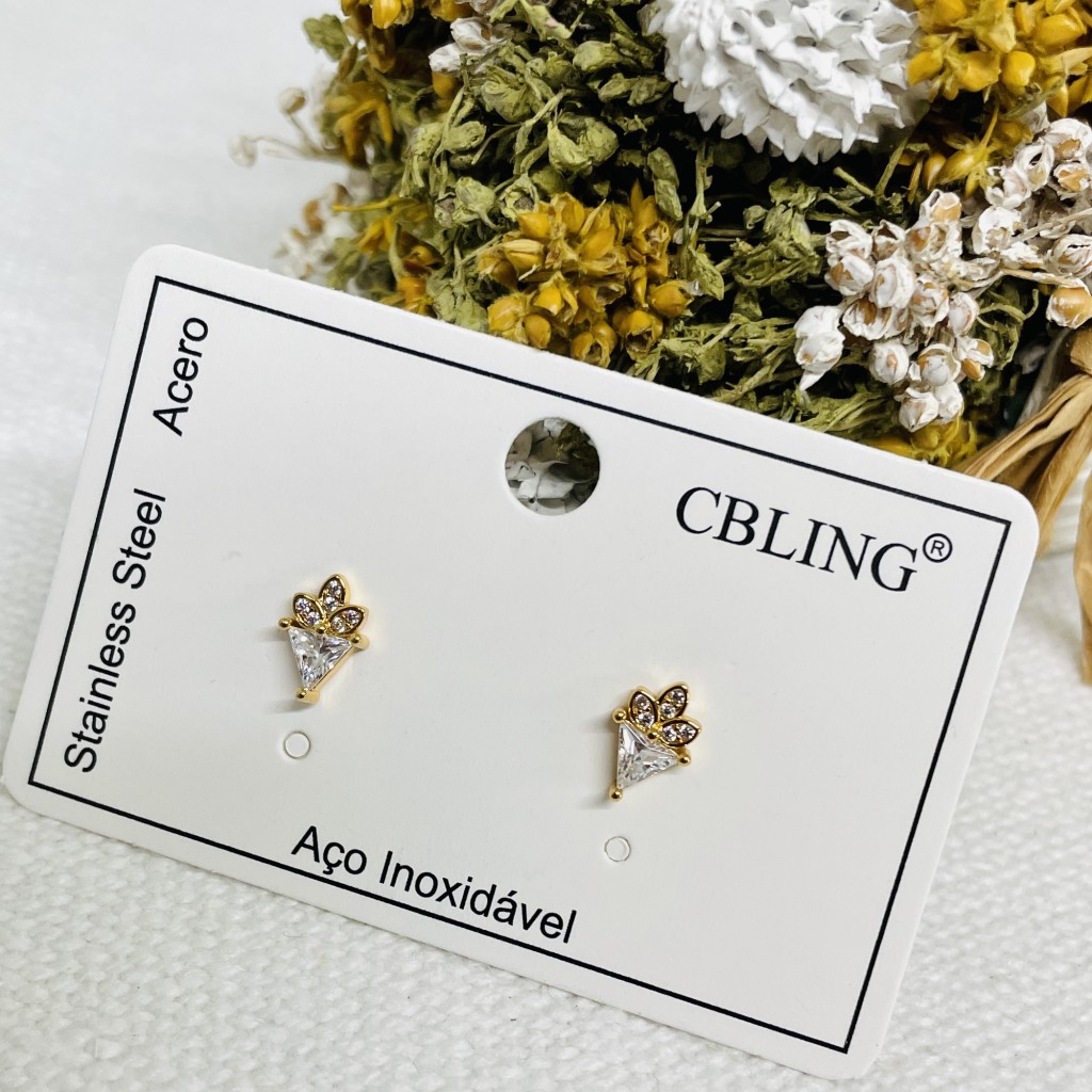 Stainless steel earrings