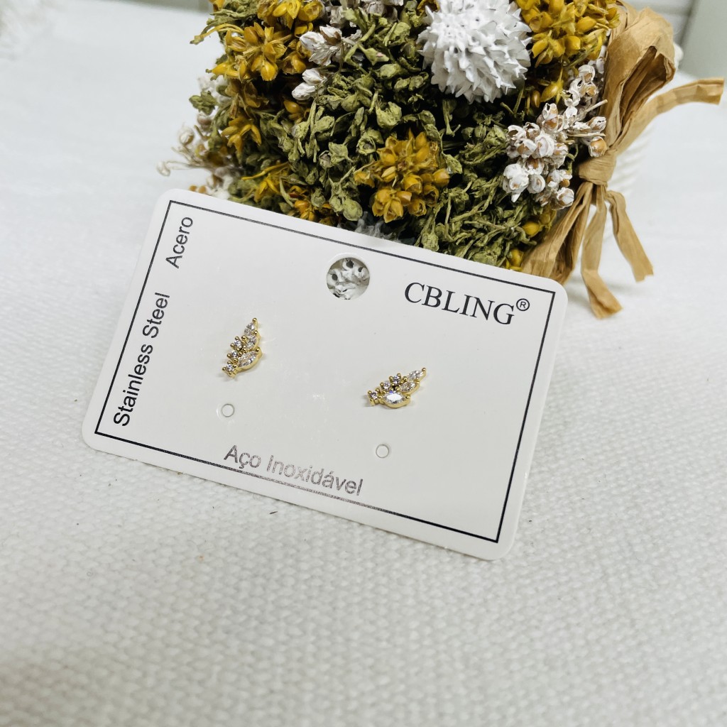 Stainless steel earrings