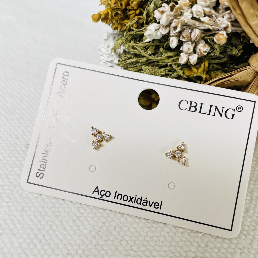 Stainless steel earrings