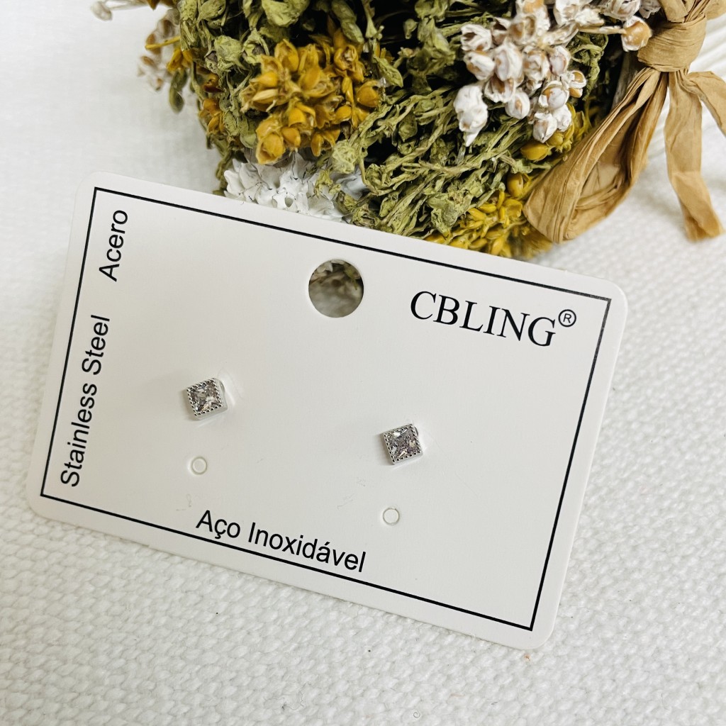 Stainless steel earrings