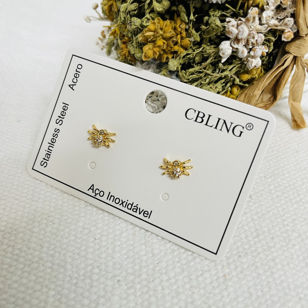 Stainless steel earrings