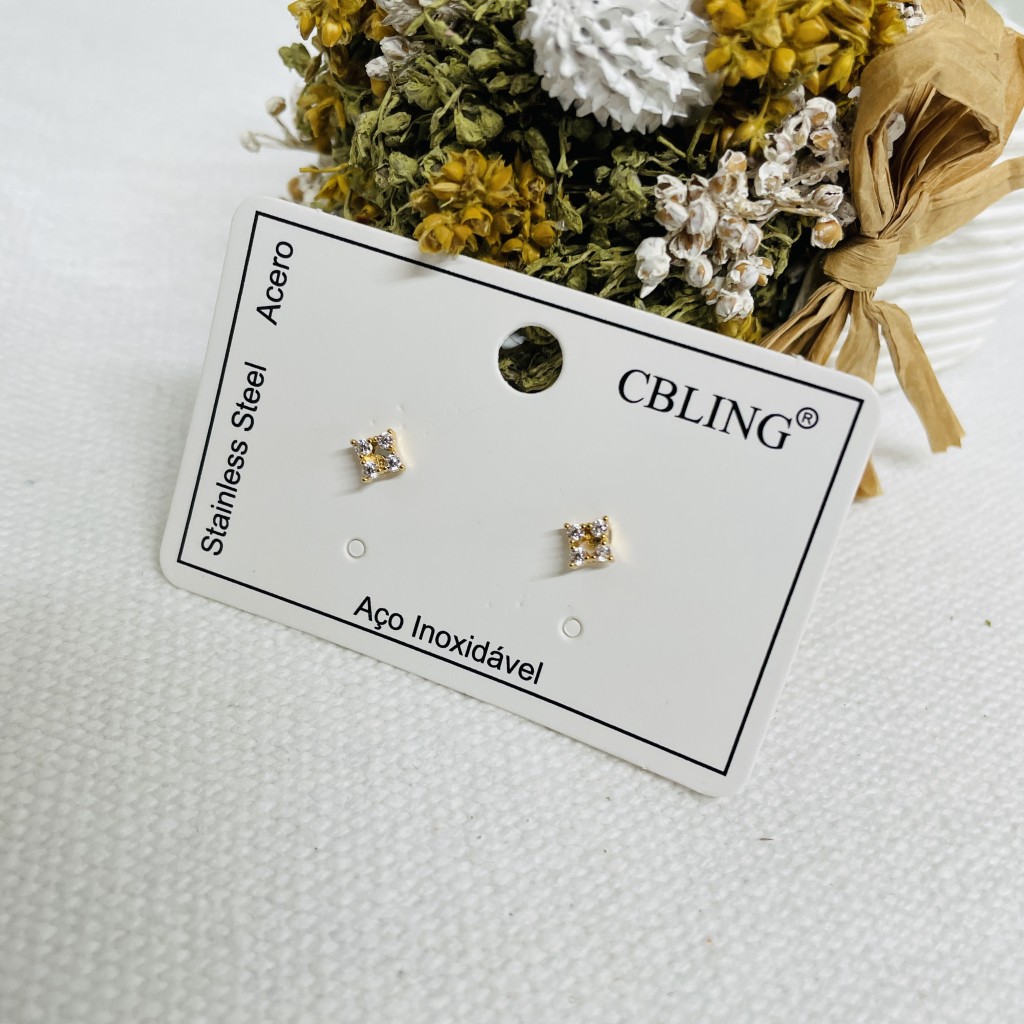 Stainless steel earrings