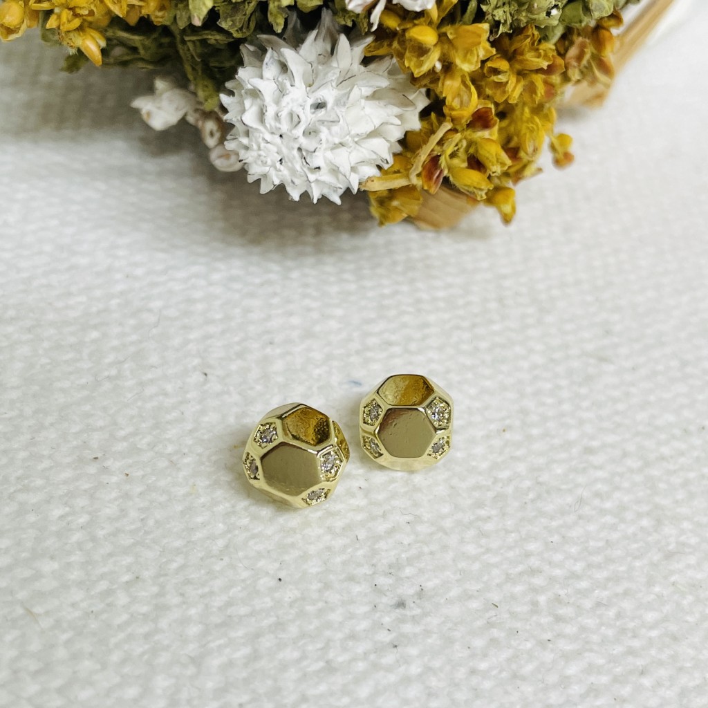 Stainless steel earrings