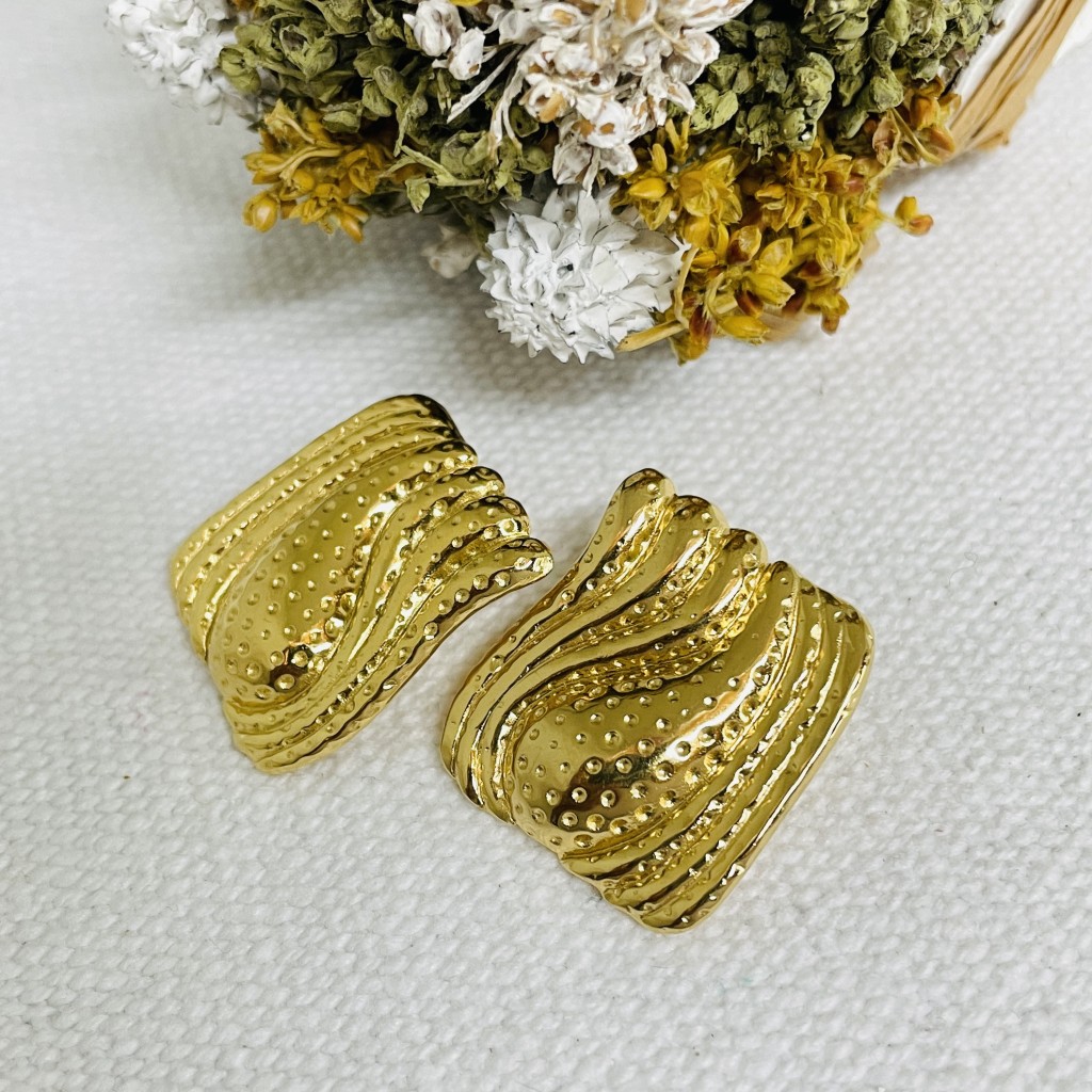 Stainless steel earrings
