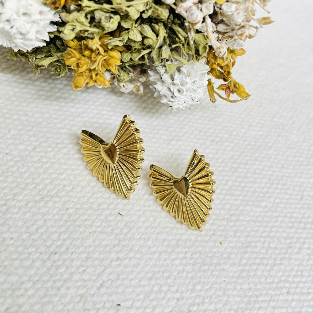 Stainless steel earrings