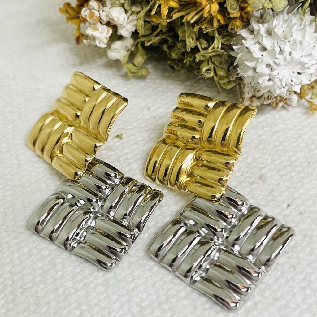 Stainless steel earrings