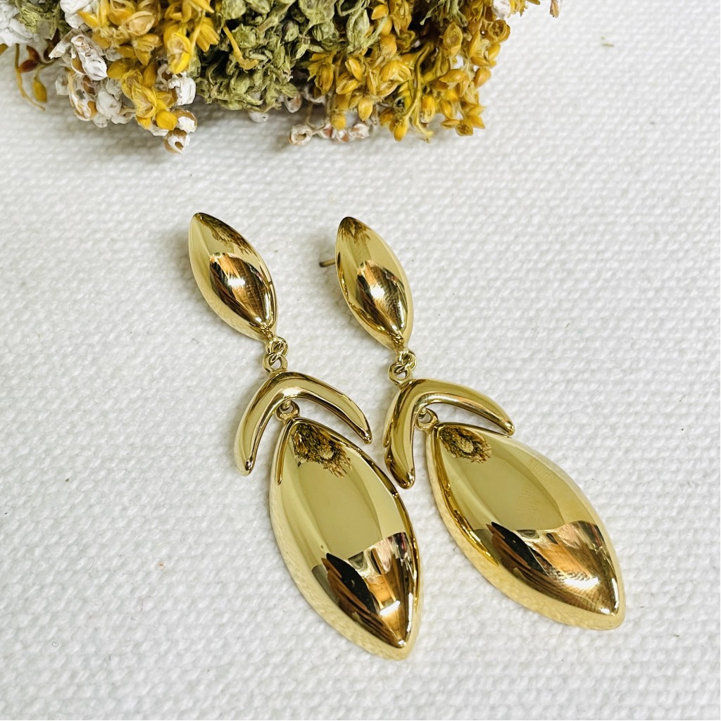 Stainless steel earrings