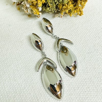 Stainless steel earrings