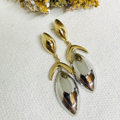 Stainless steel earrings