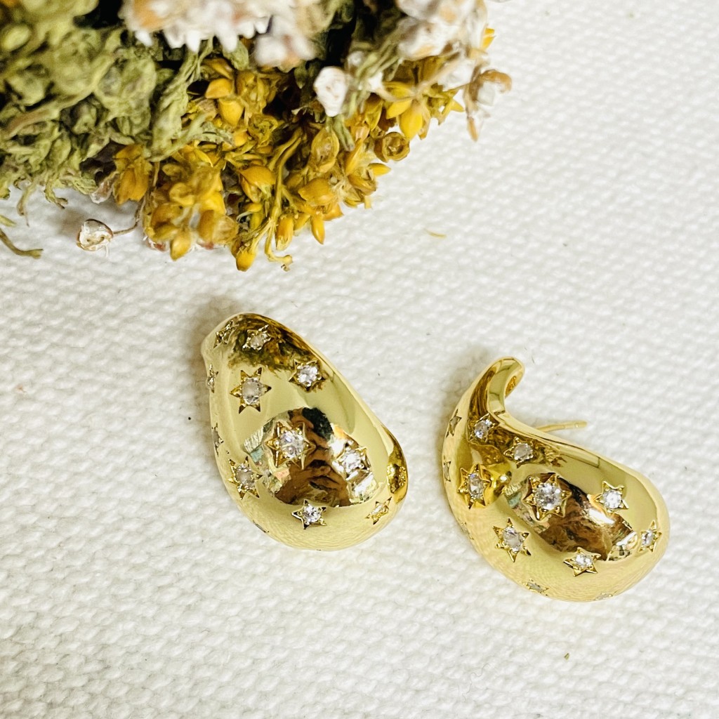 Stainless steel earrings