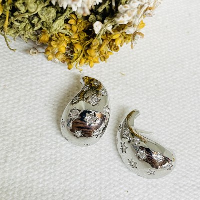 Stainless steel earrings