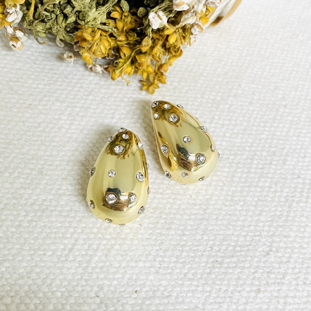 Stainless steel earrings