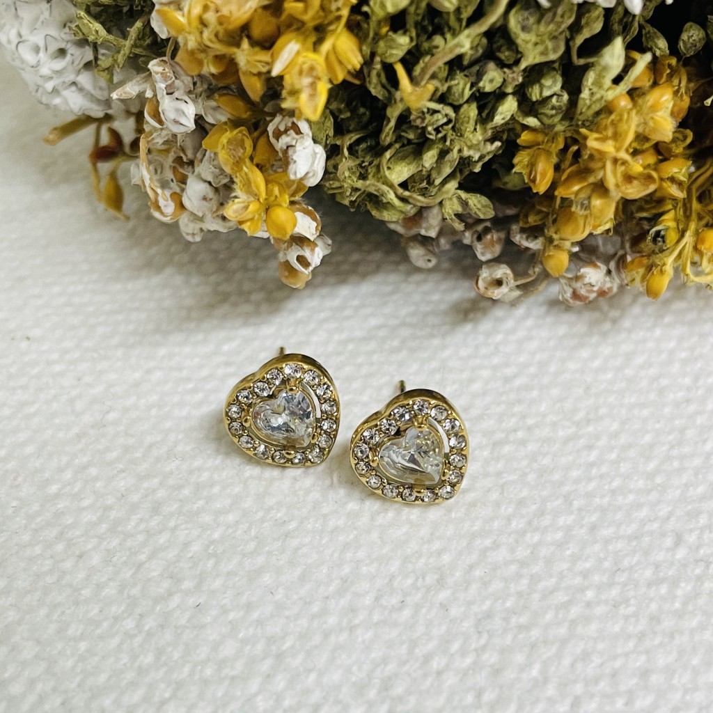 Stainless steel earrings