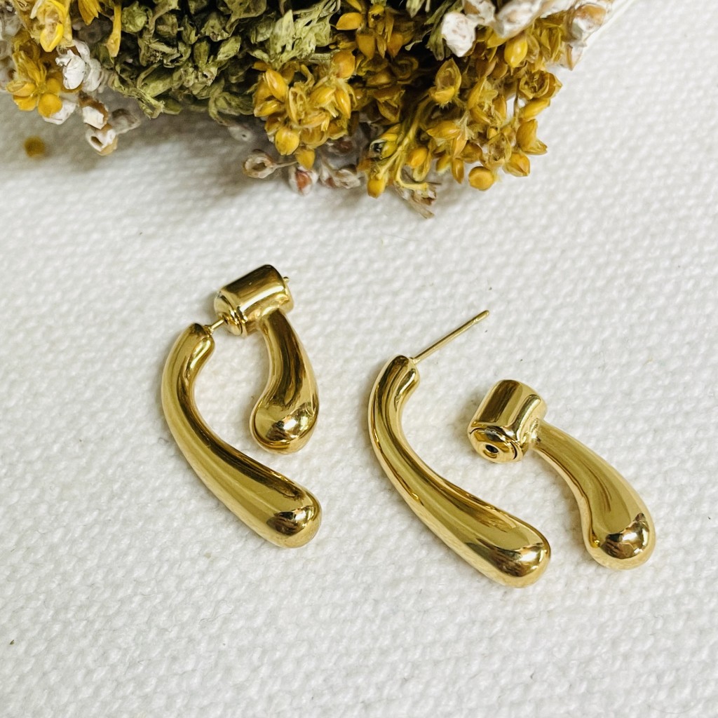 Stainless steel earrings