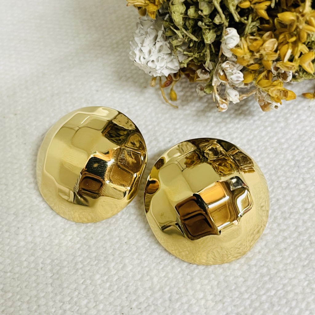 Stainless steel earrings
