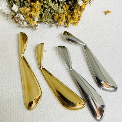 Stainless steel earrings