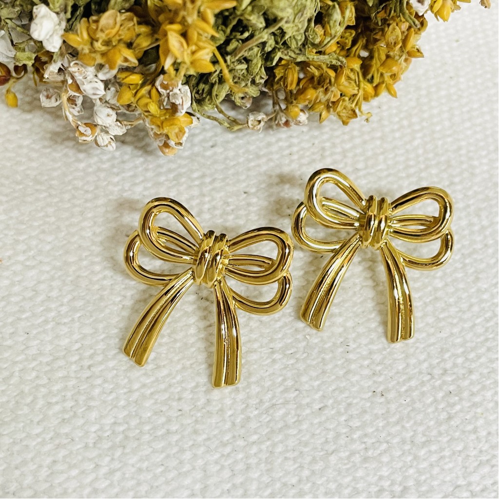 Stainless steel earrings