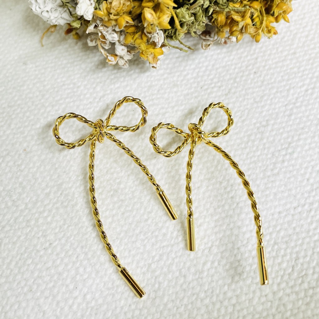 Stainless steel earrings
