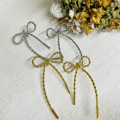Stainless steel earrings