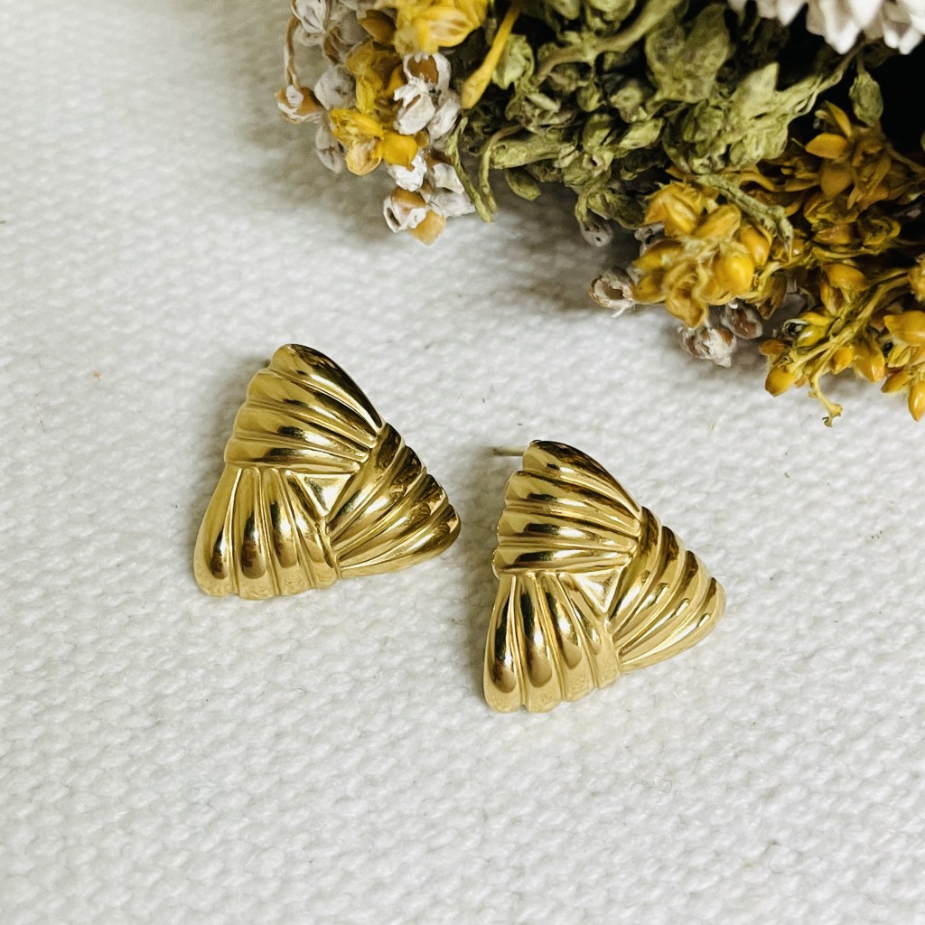 Stainless steel earrings