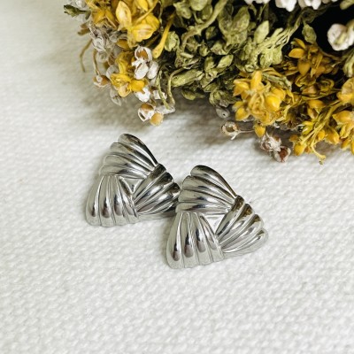 Stainless steel earrings