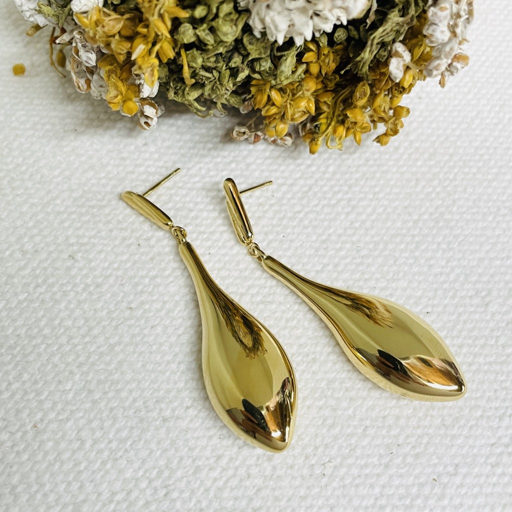 Stainless steel earrings