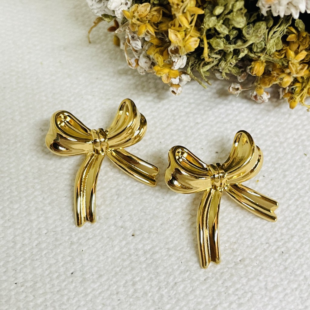 Stainless steel earrings