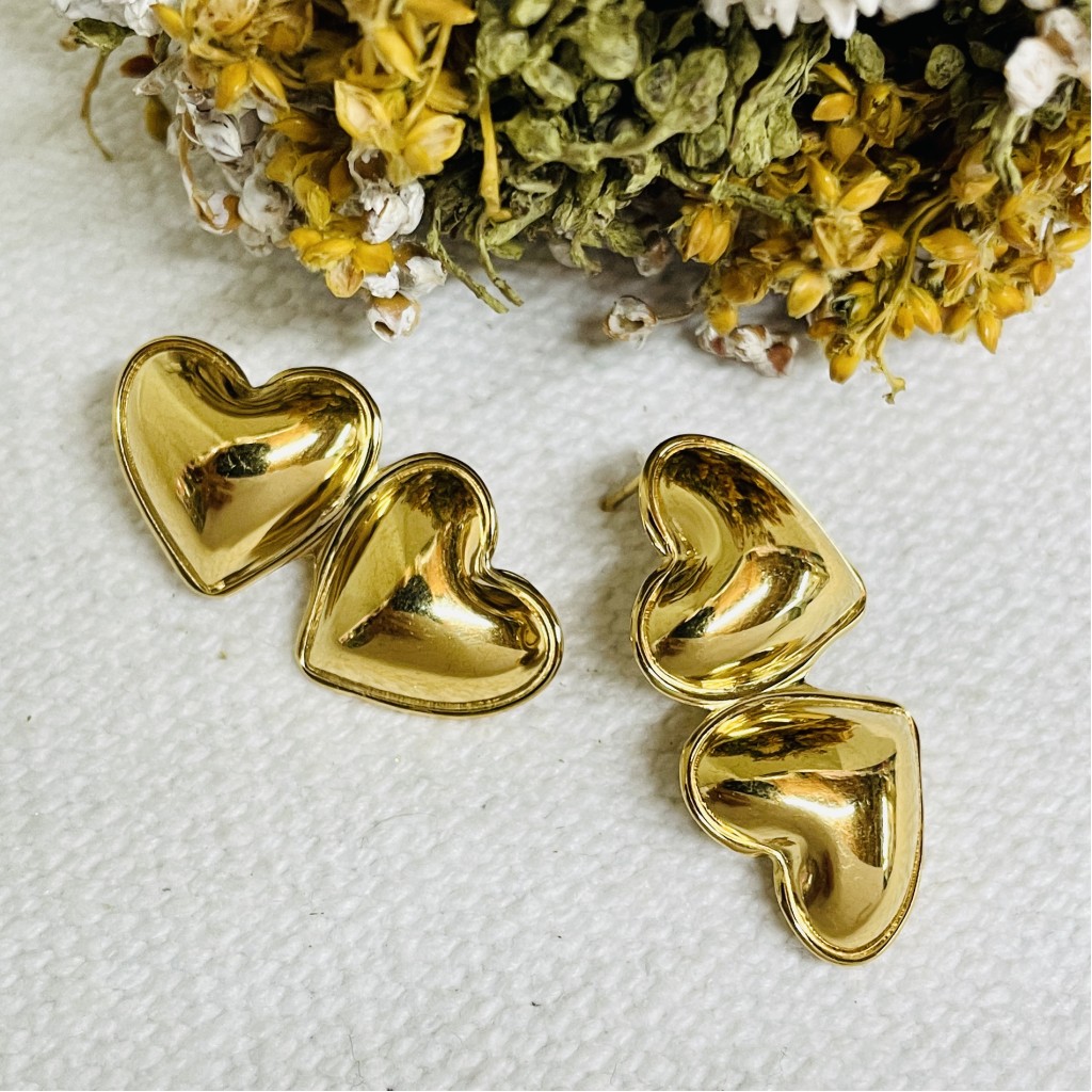 Stainless steel earrings