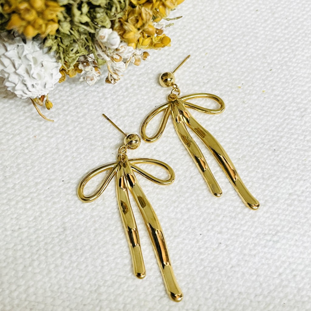 Stainless steel earrings
