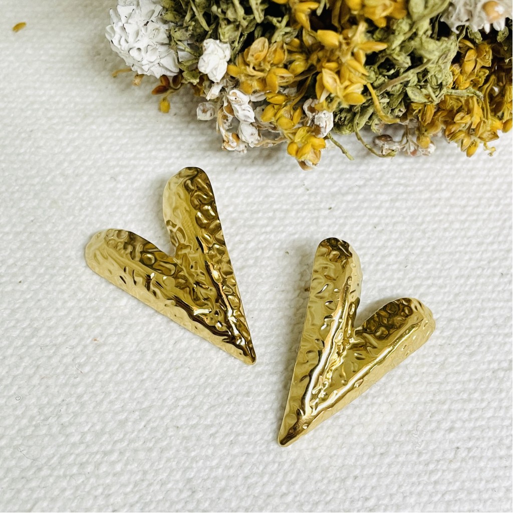 Stainless steel earrings