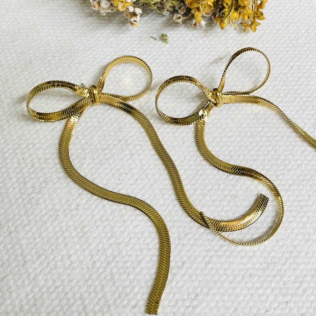 Stainless steel earrings