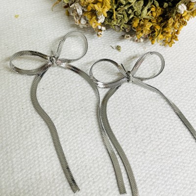 Stainless steel earrings