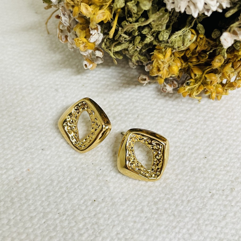Stainless steel earrings