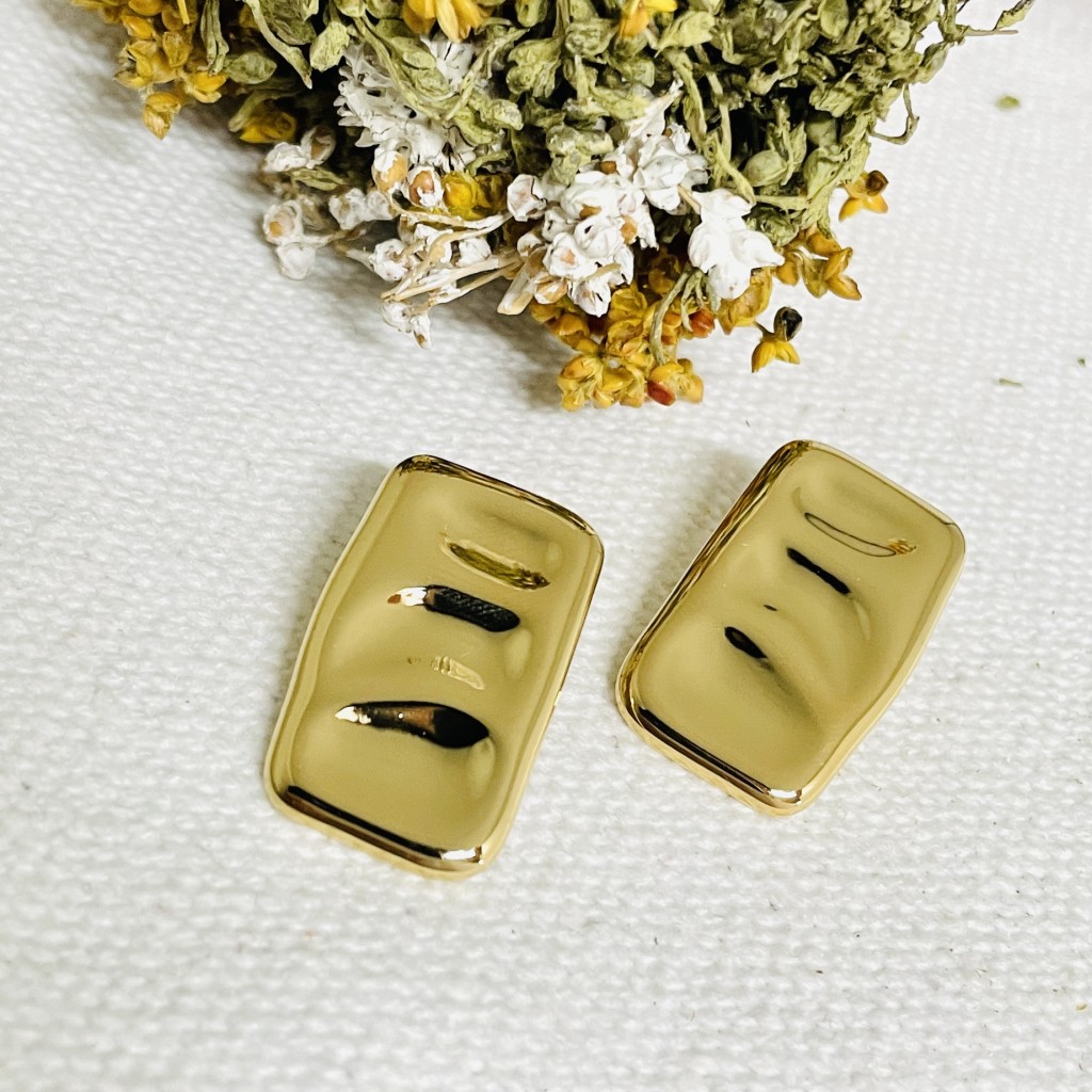 Stainless steel earrings