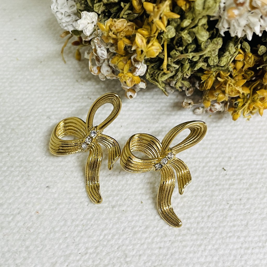 Stainless steel earrings