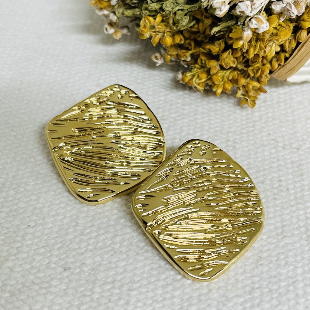 Stainless steel earrings
