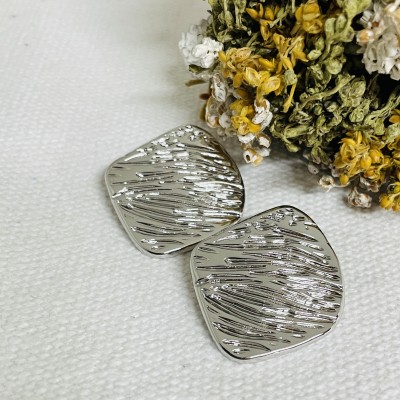 Stainless steel earrings