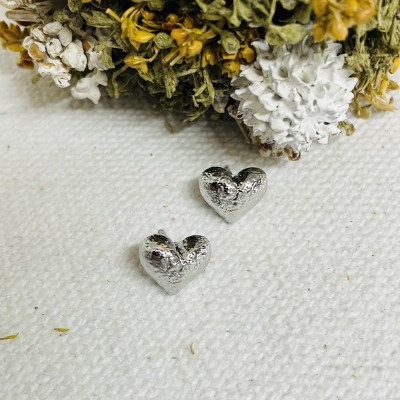 Stainless steel earrings