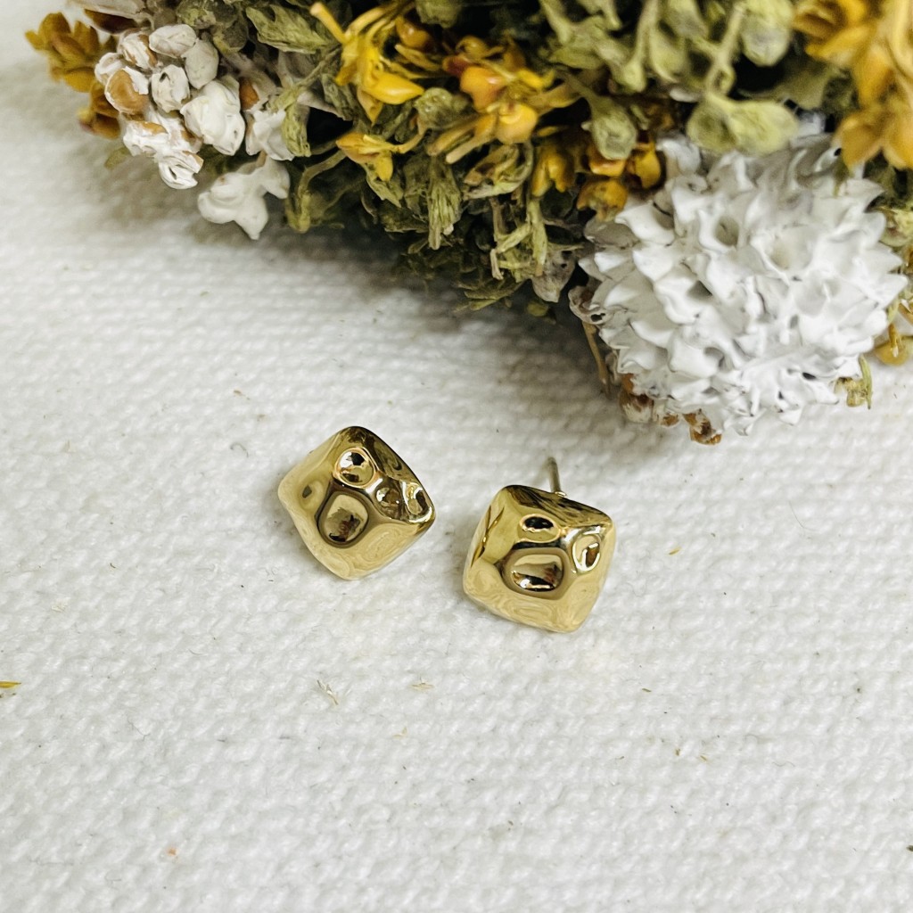 Stainless steel earrings