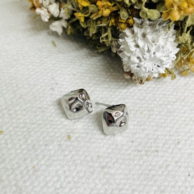 Stainless steel earrings