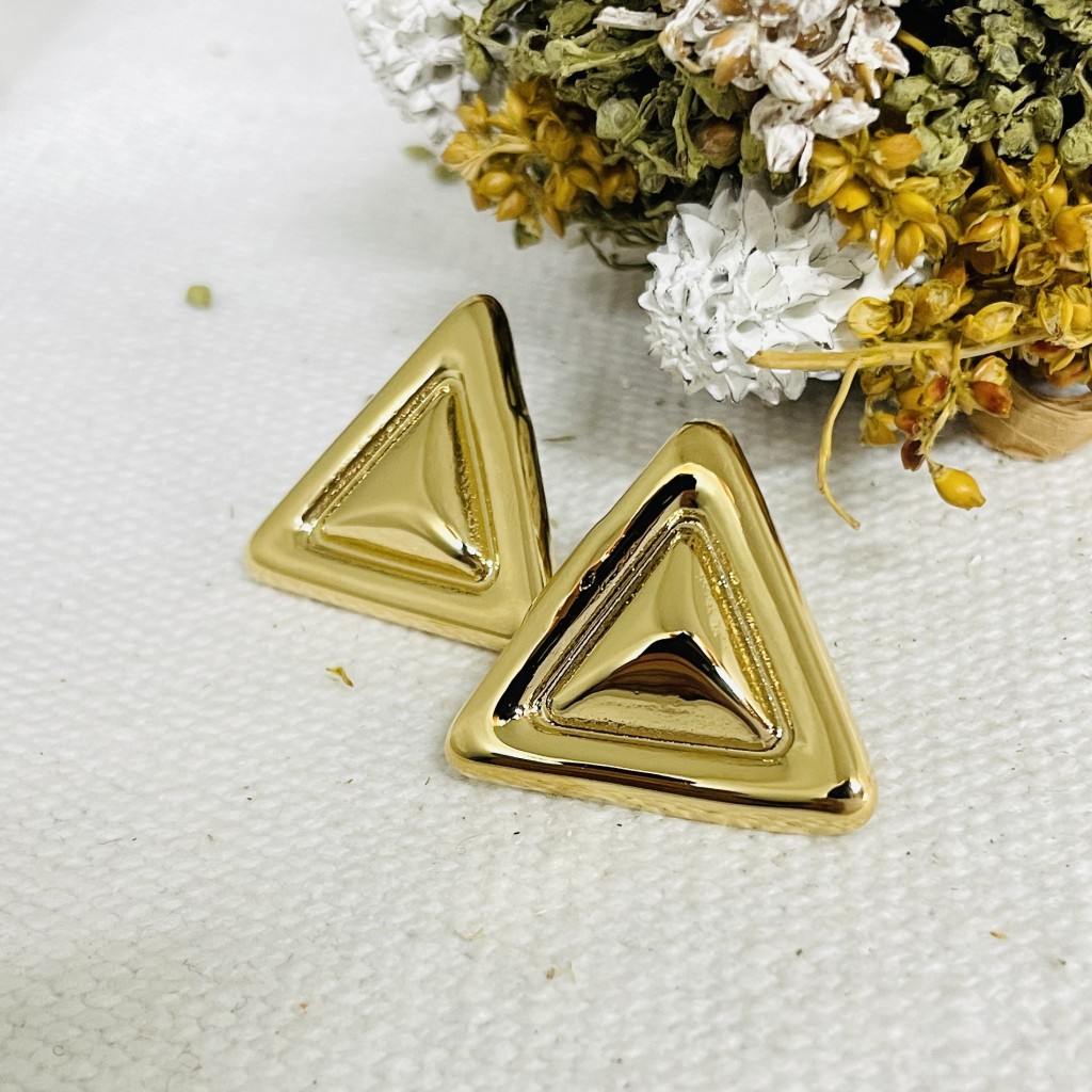 Stainless steel earrings